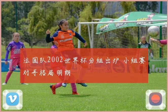 法国队2002世界杯分组出炉 小组赛对手格局明朗