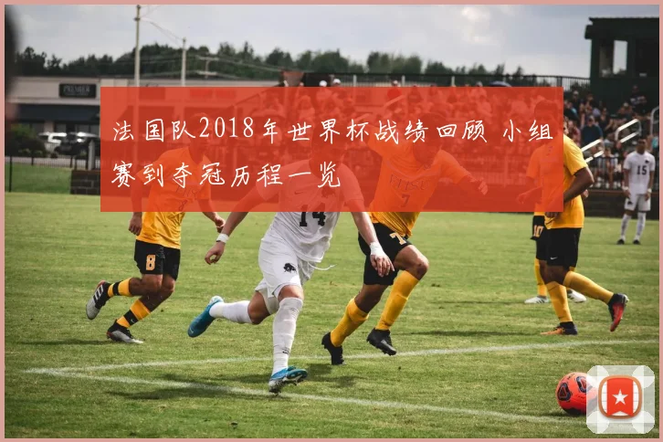 法国队2018年世界杯战绩回顾 小组赛到夺冠历程一览