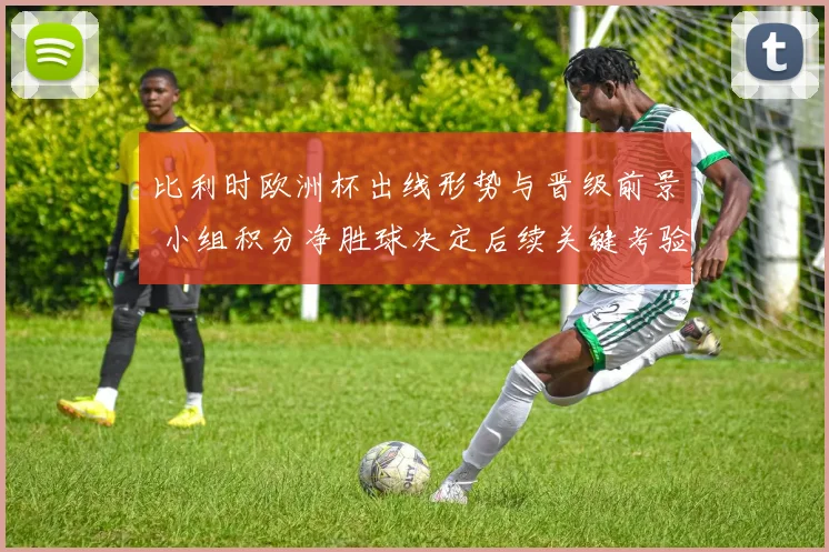 比利时欧洲杯出线形势与晋级前景 小组积分净胜球决定后续关键考验